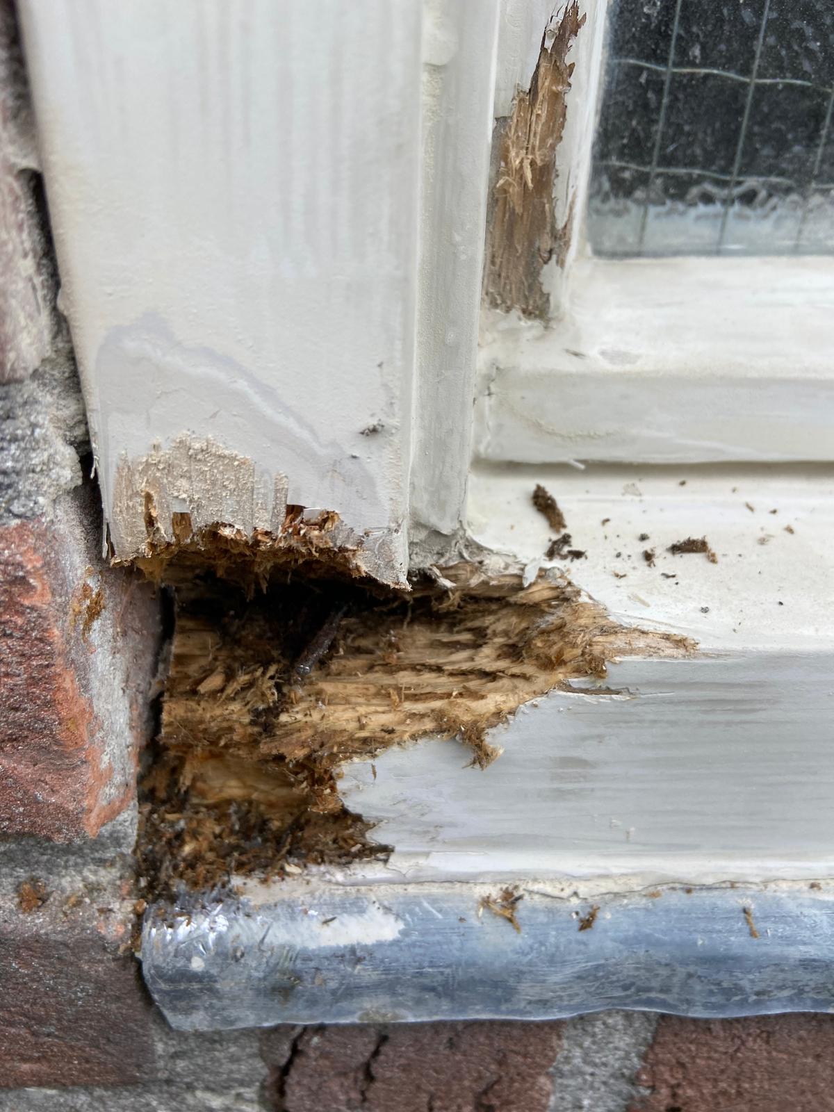 82b8d9cfd92f92fa43c5c7c12643f66e